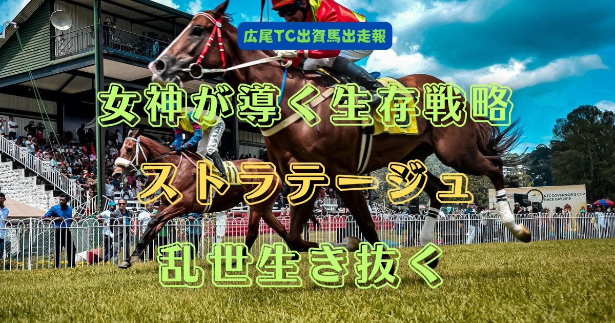 女神が導く生存戦略　ストラテージュ　乱世生き抜く